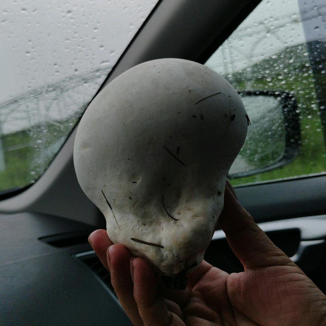 🔫魑魅魍魉³⁶⁹⁹