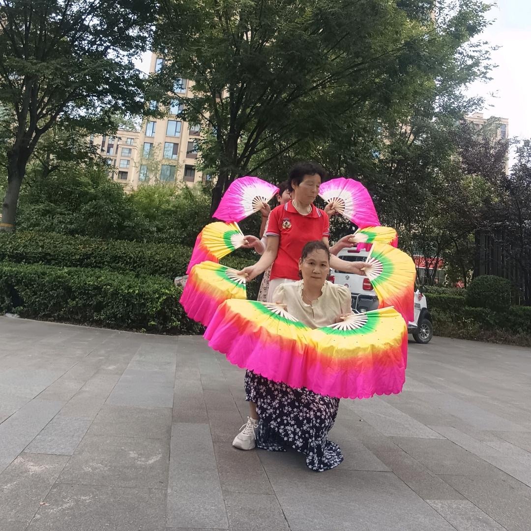 爱跳广场舞的李七妹