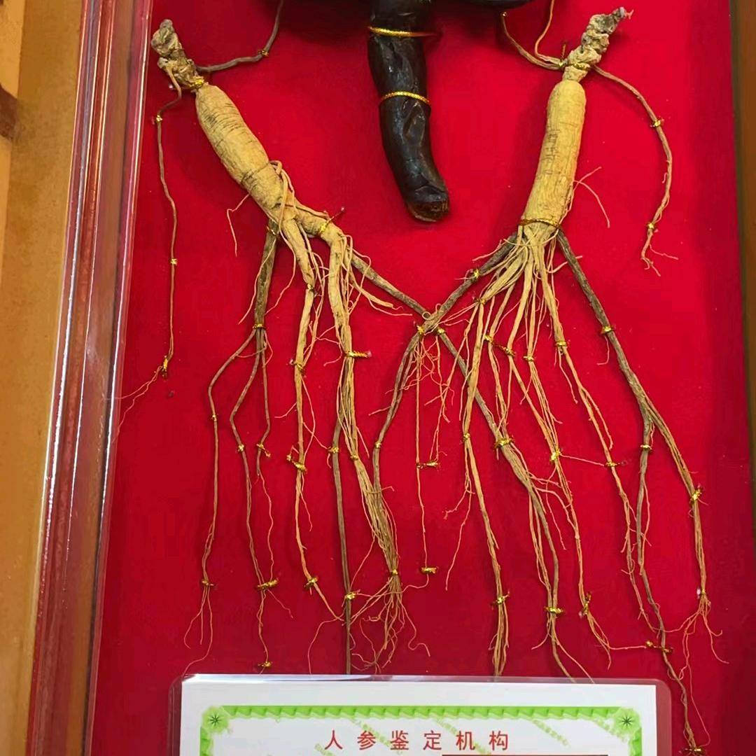 多乐士漆，立邦漆林姐