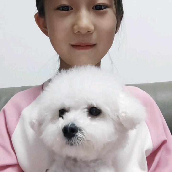 暖暖的专属小主人