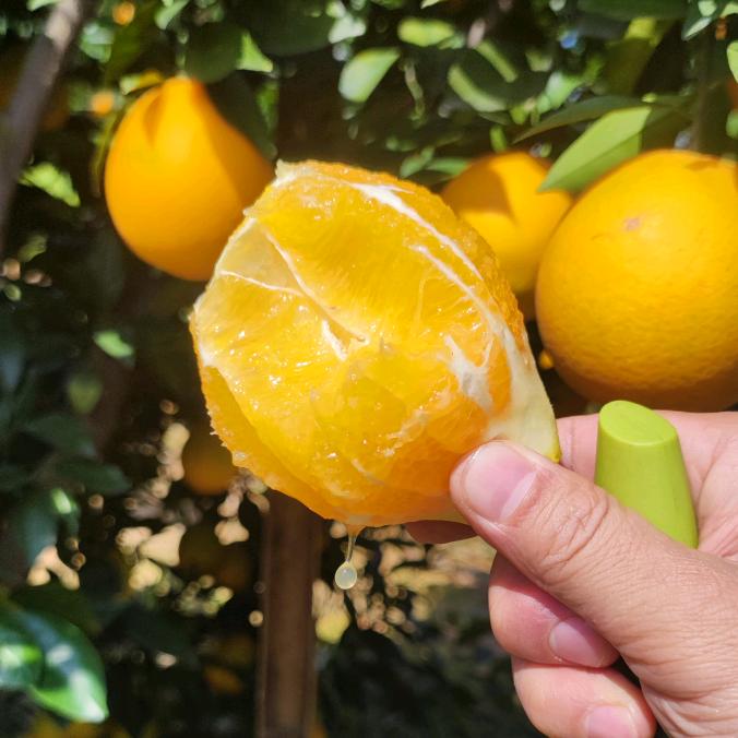 还不曾去過倒悬山