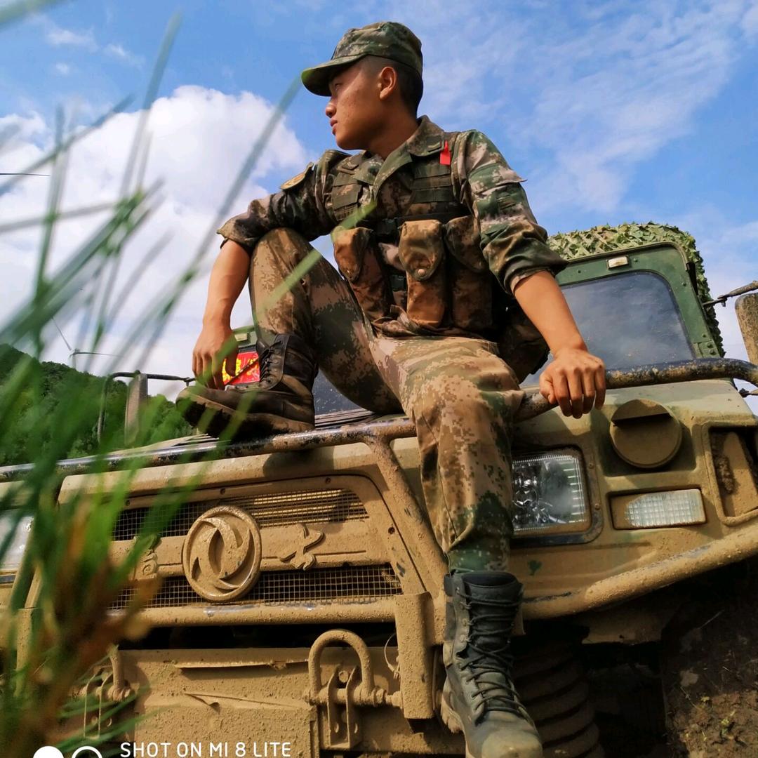 一路生蜂（胡蜂养殖）