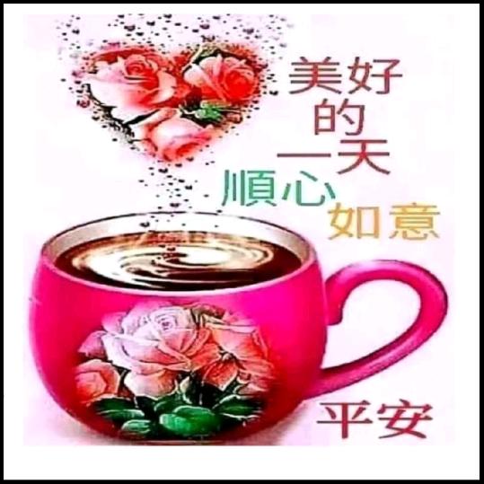 有小福星💰💰🌹🌹🐕🐇