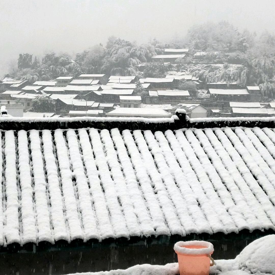@似水刘年