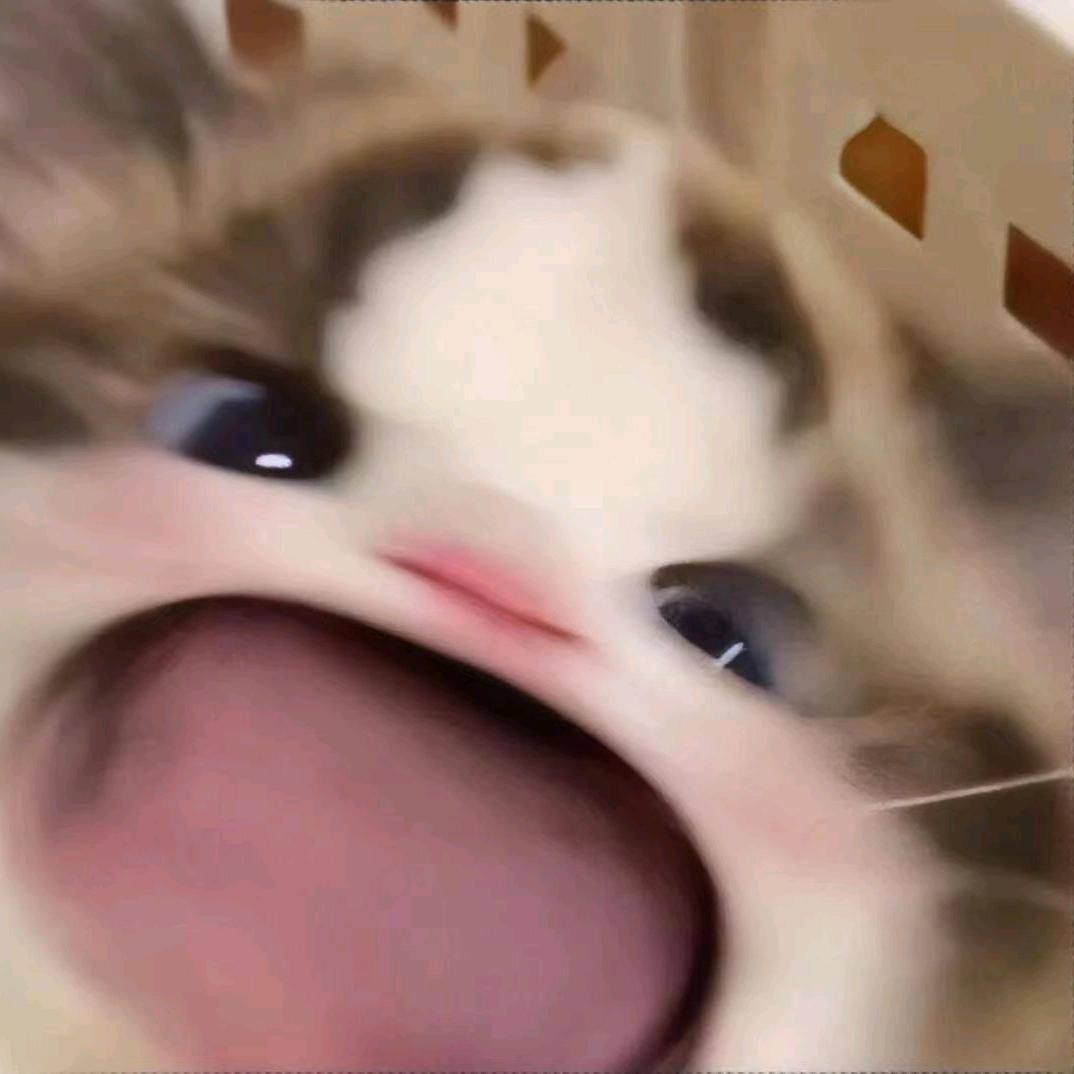 一啊鸭.