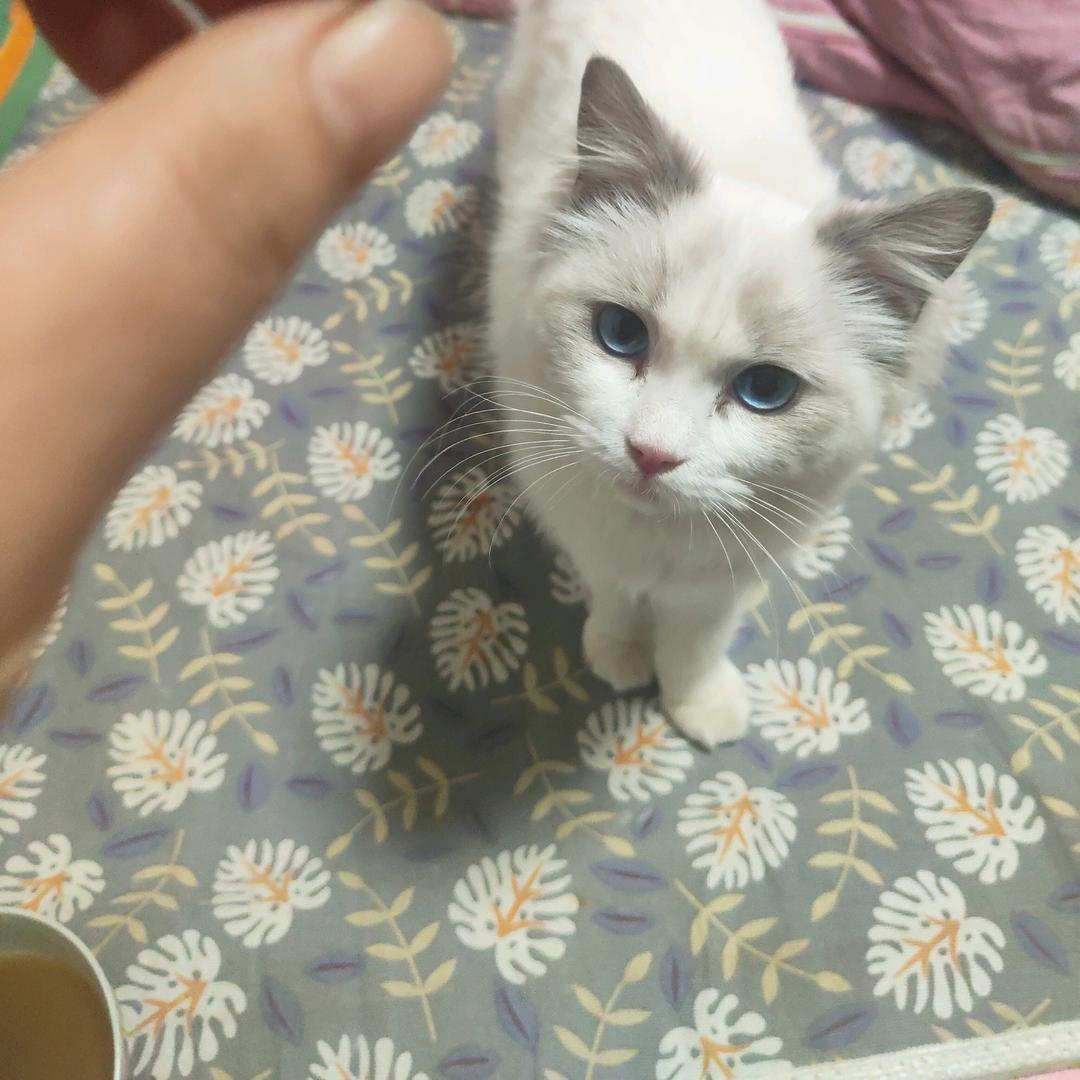 迎风而上