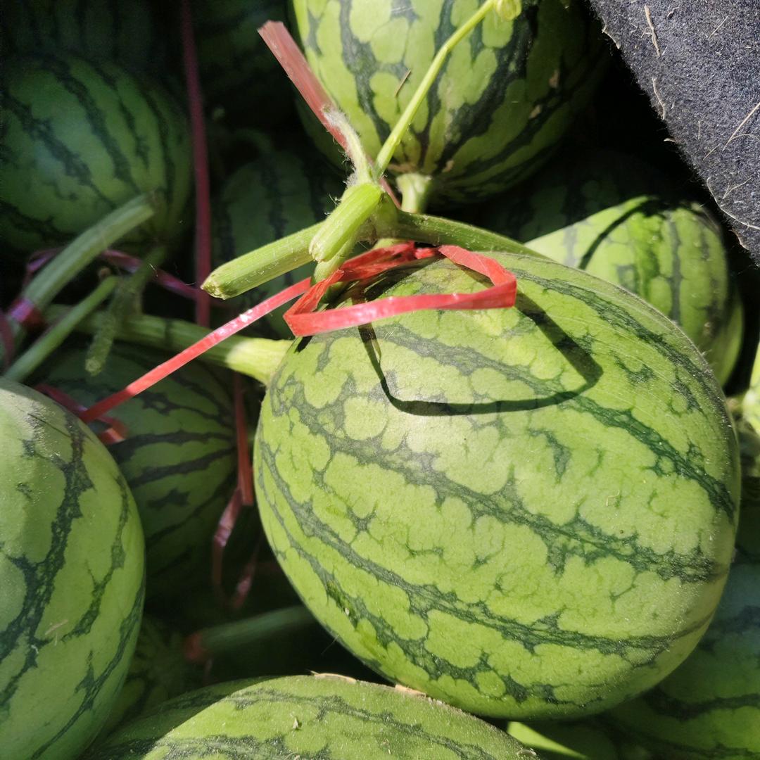 ❤️❤️❤️❤️❤️