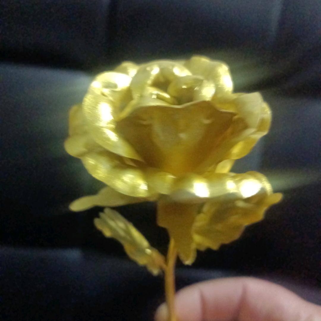 流浪打工人💁‍♀️🌹🌹