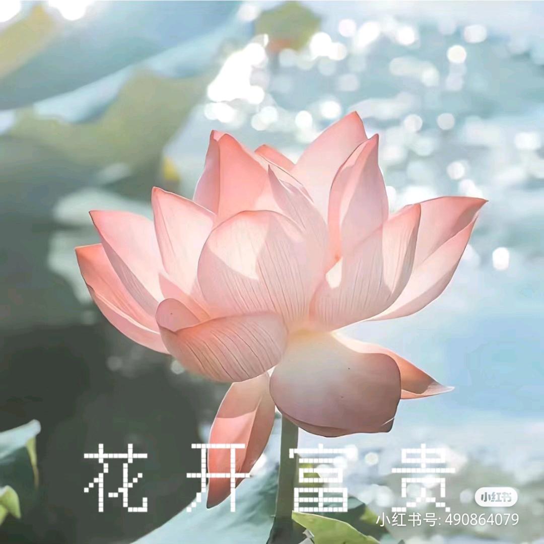 花开富贵在天上