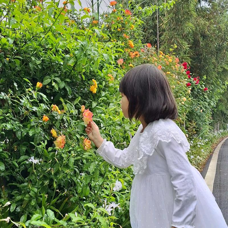 容容悦己