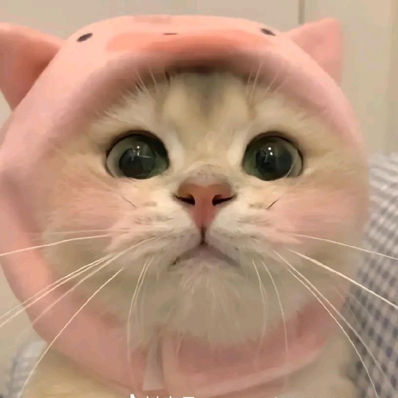 .，