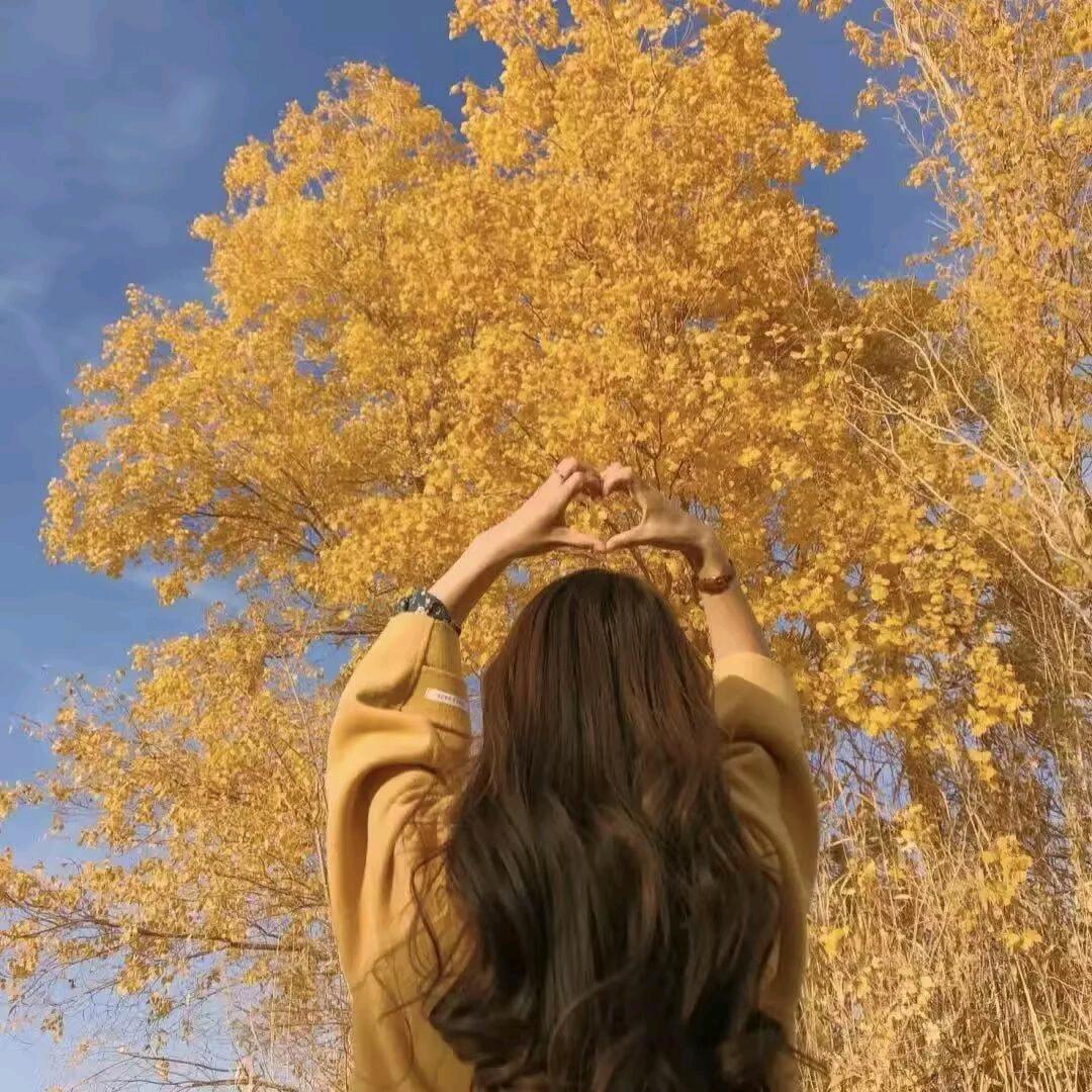 ✧٩(ˊωˋ*)و✧星眠兔叽