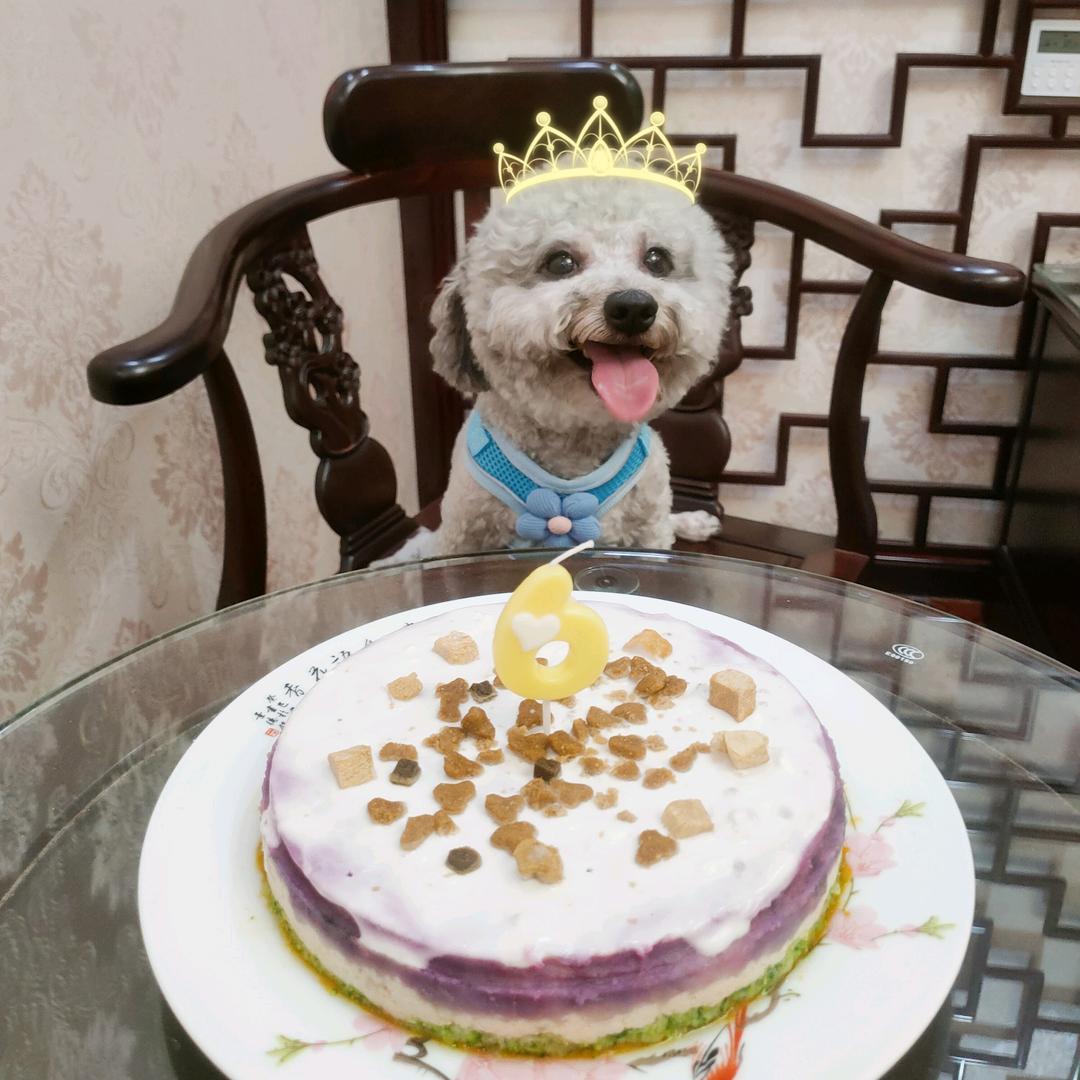 🐶豆小豆麻麻💃🏻💖