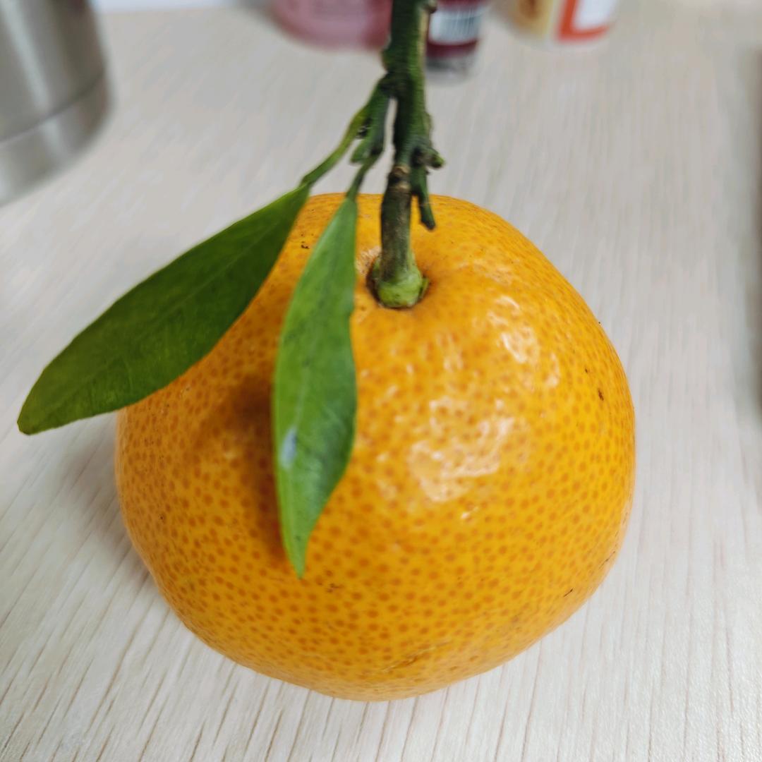 小桔子爱分享