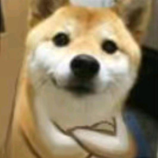 之路思故人