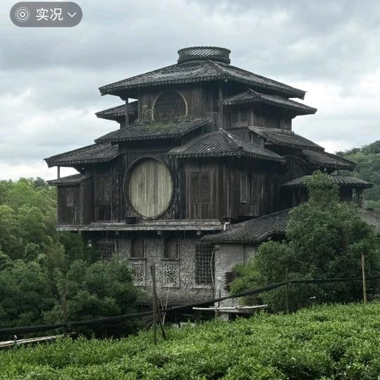 十 一