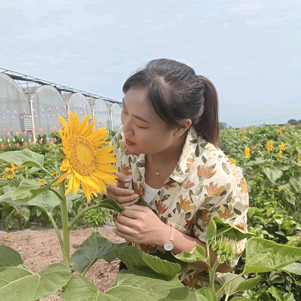 莪的小情绪
