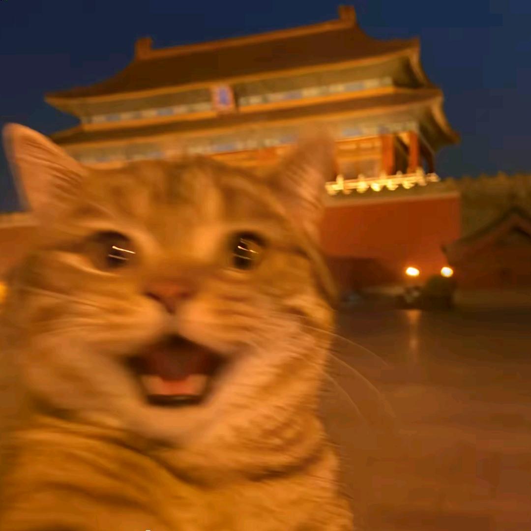 这是一个我
