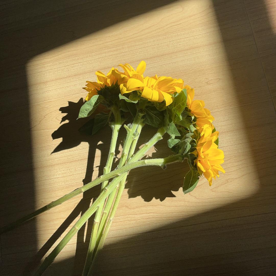 এ᭄繁星💕不及你ღ᭄