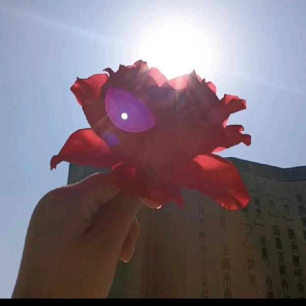 舒心🚩