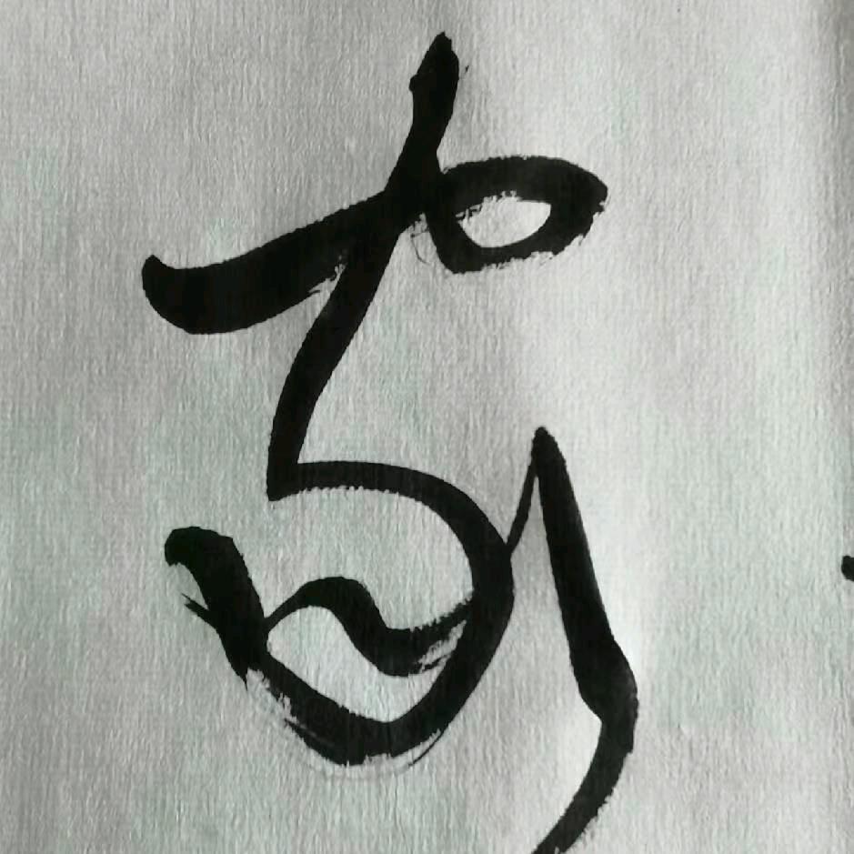 琉璃映月  新城善府美妆店 (个体工商)