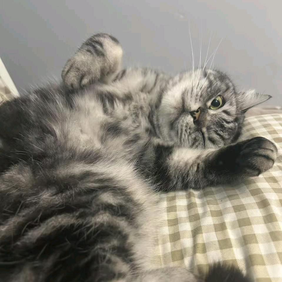 开心