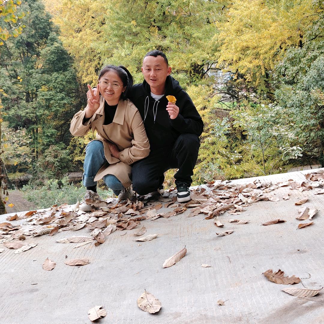 是田不是甜