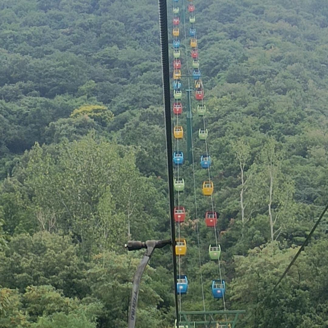 魔高一丈