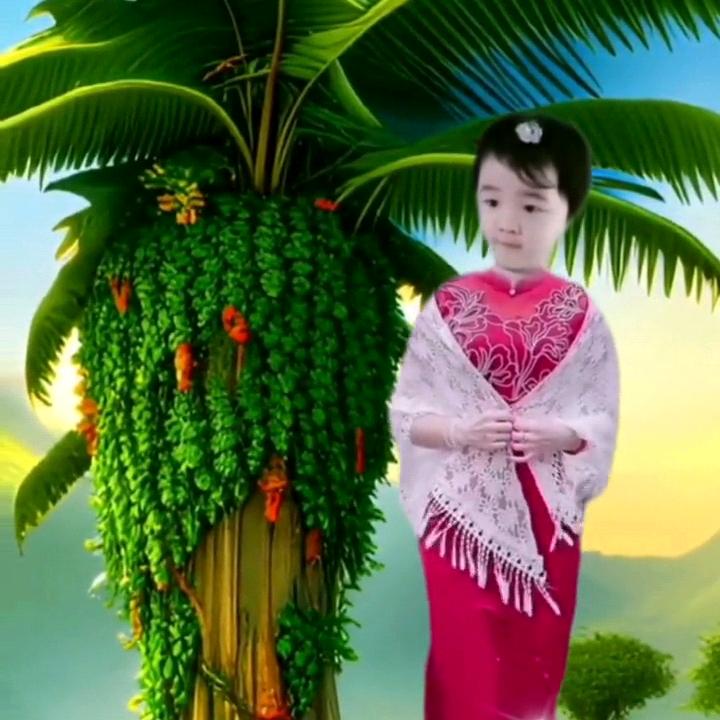 岁月静好58585888