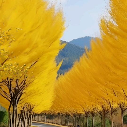 梦想家🧡ྀི💛ྀི❤️ྀི