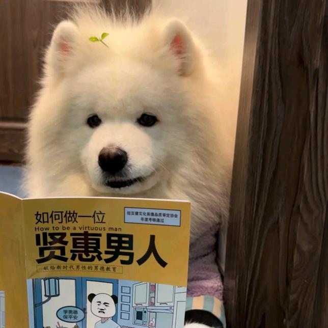 逆风而上