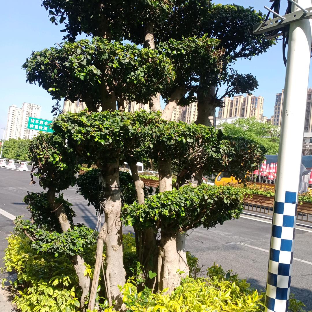 农民工