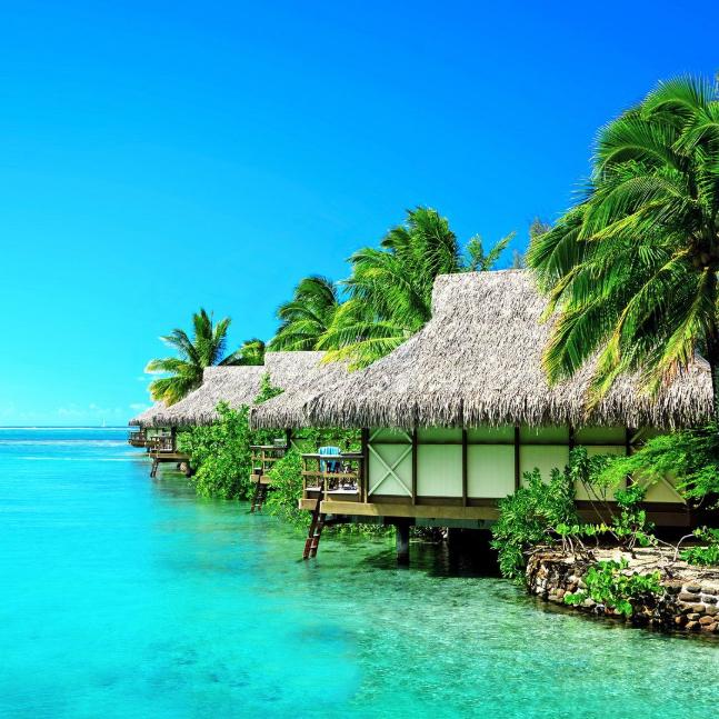 诚心零食百货超市