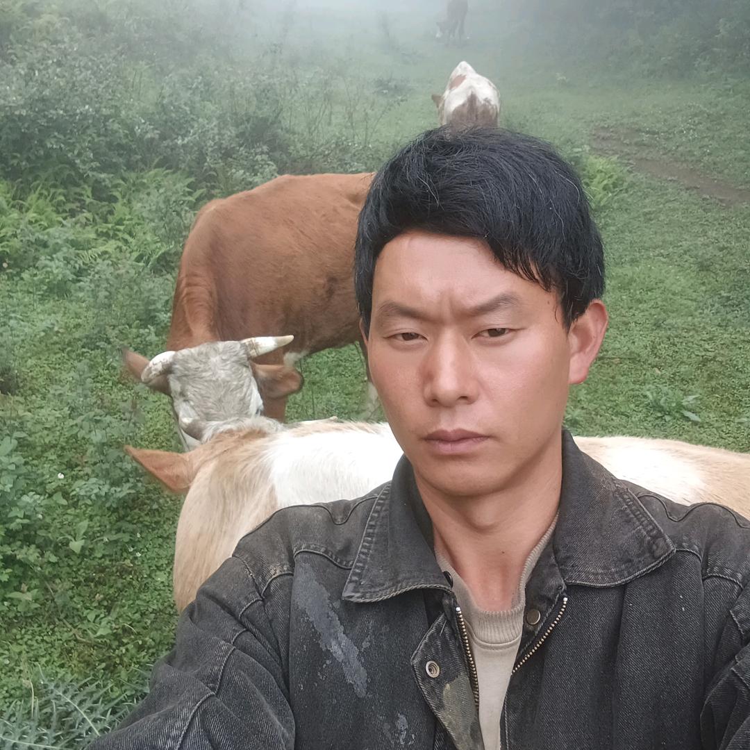 农村一哥
