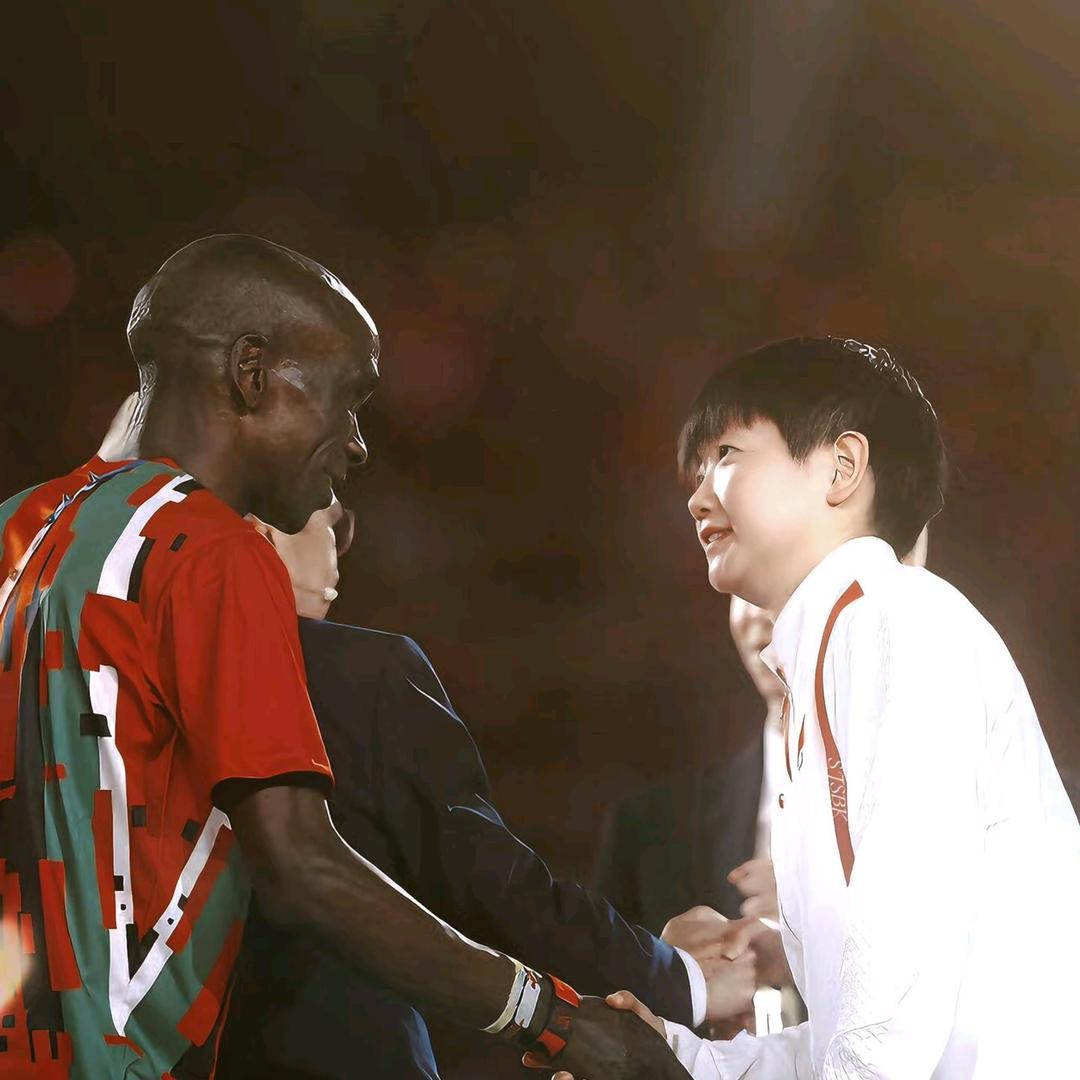 🌻🌻🌻🌻🌻🌻