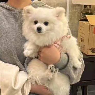 咻🏄🏼‍♀️