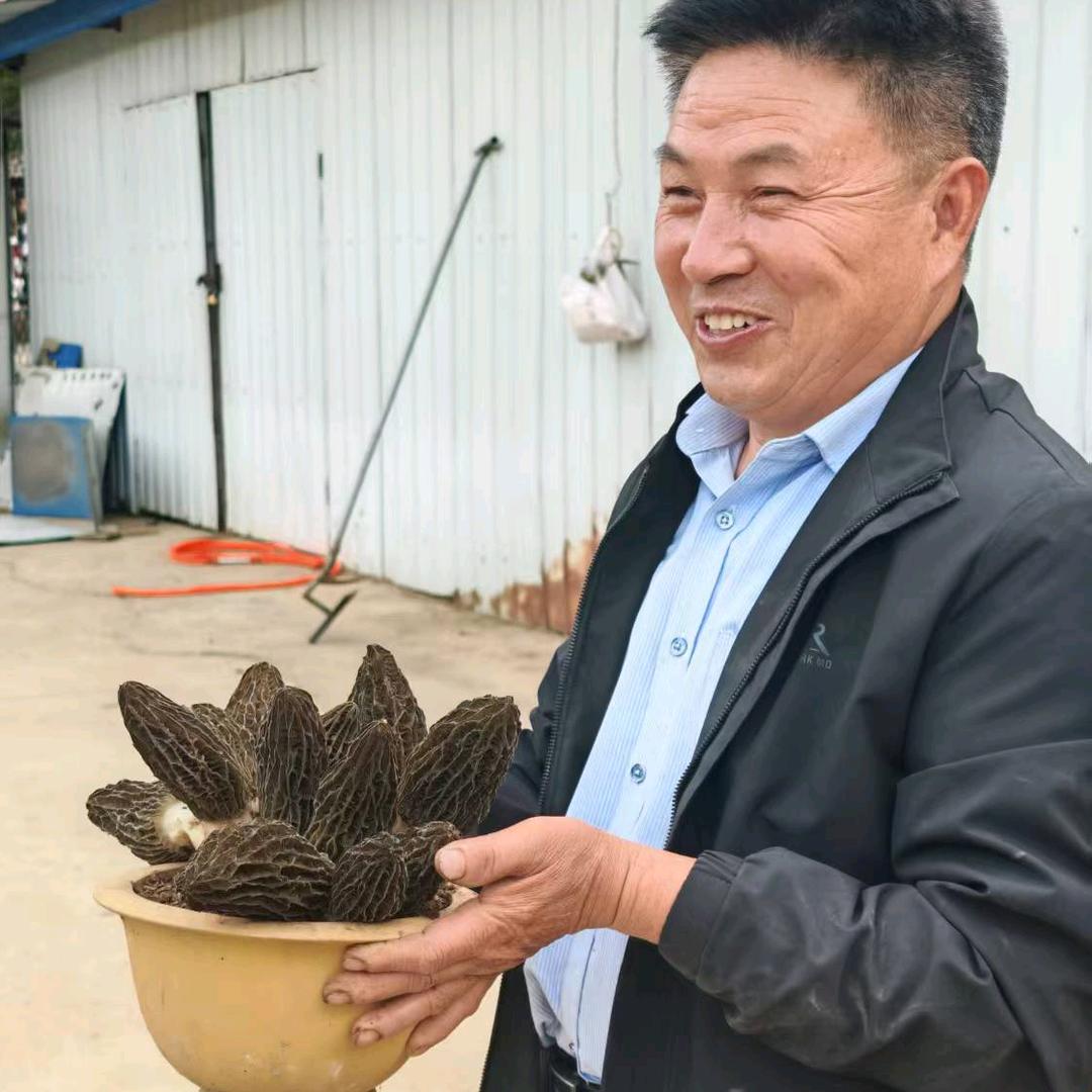 蘑菇老王