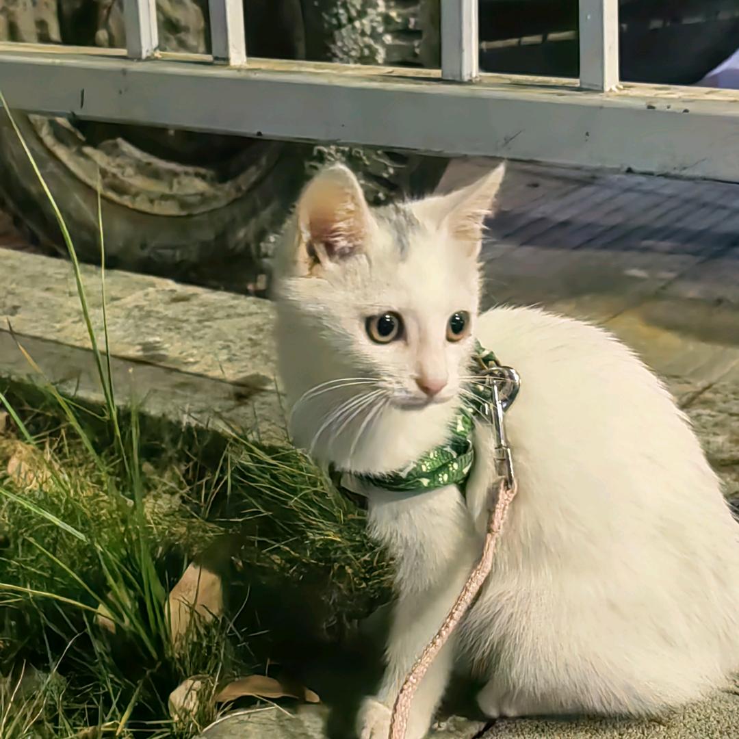 小琳追上月亮🌙