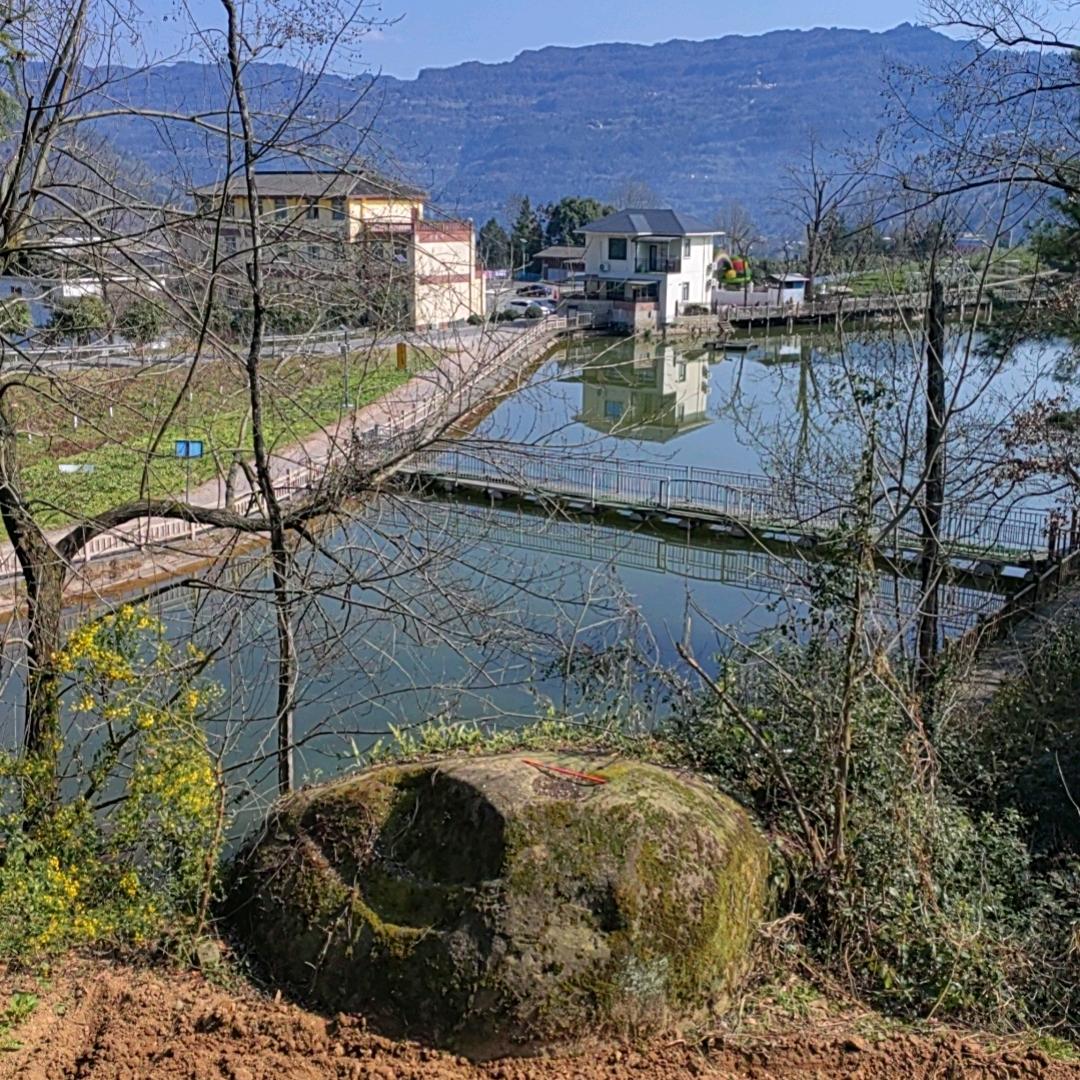 🍂ಢ᭄余生ල᭄随心💞: ?