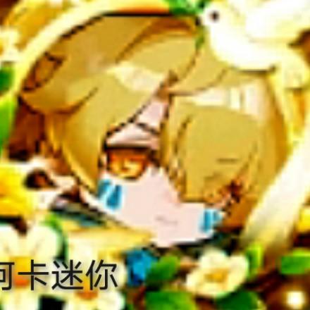 阿卡迷你