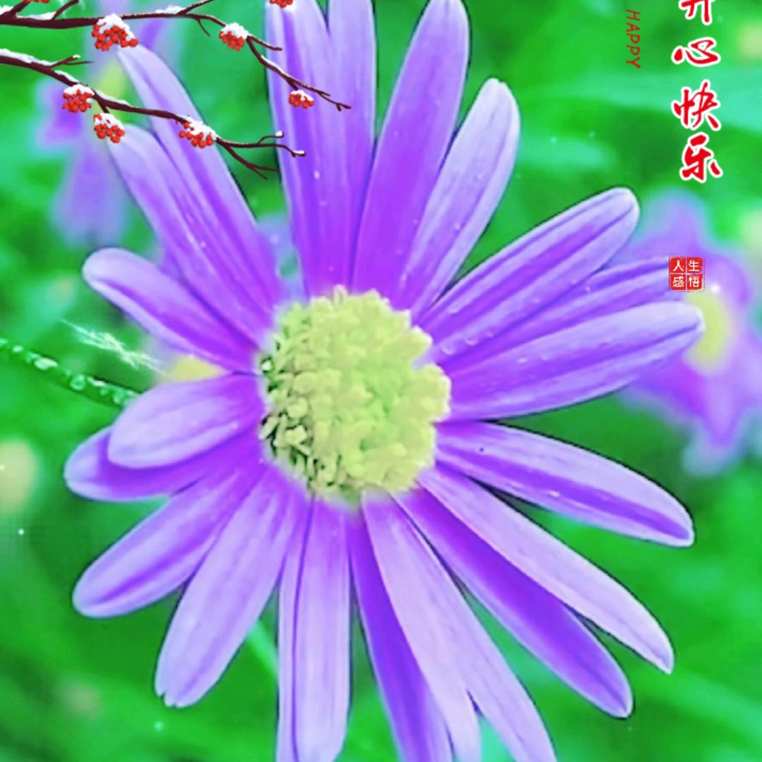 宋约成