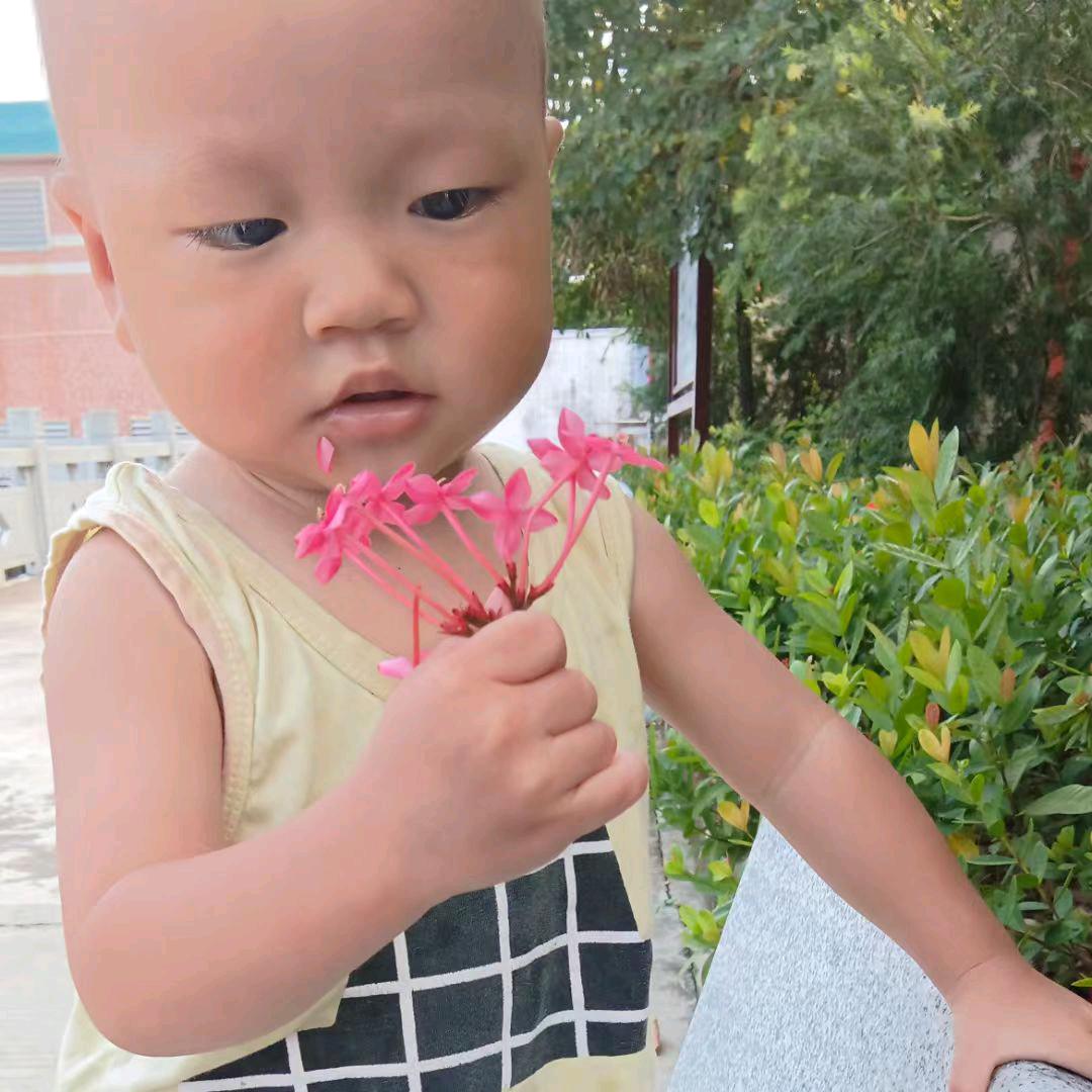 硪得世界，苇呢最美