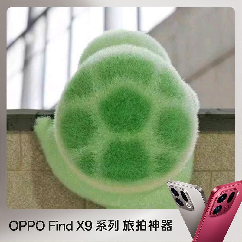 冀州吉美OPPO小王