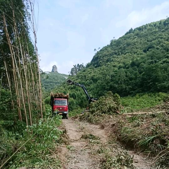 你永远在我心中