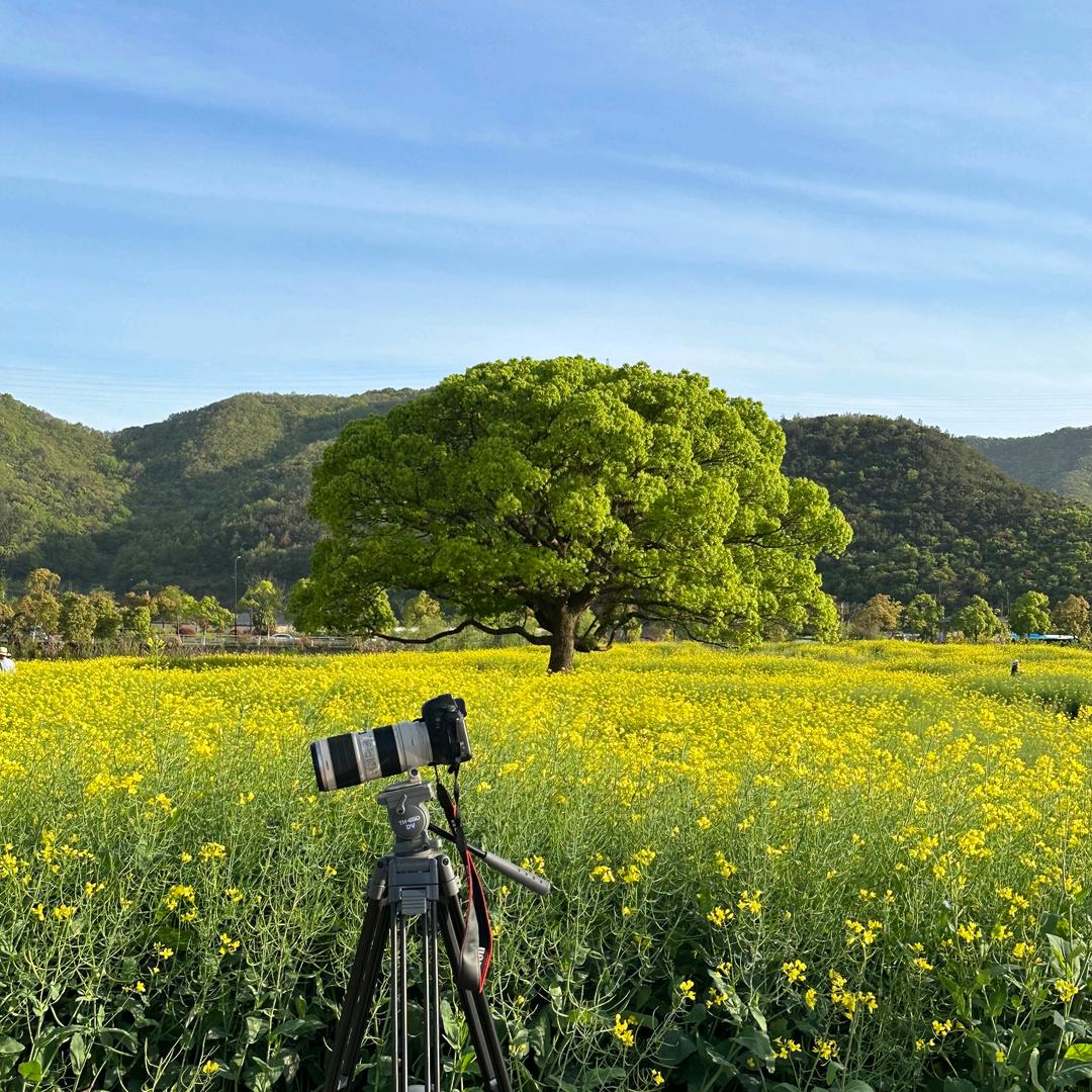 明月照心_心明(请勿连赞)