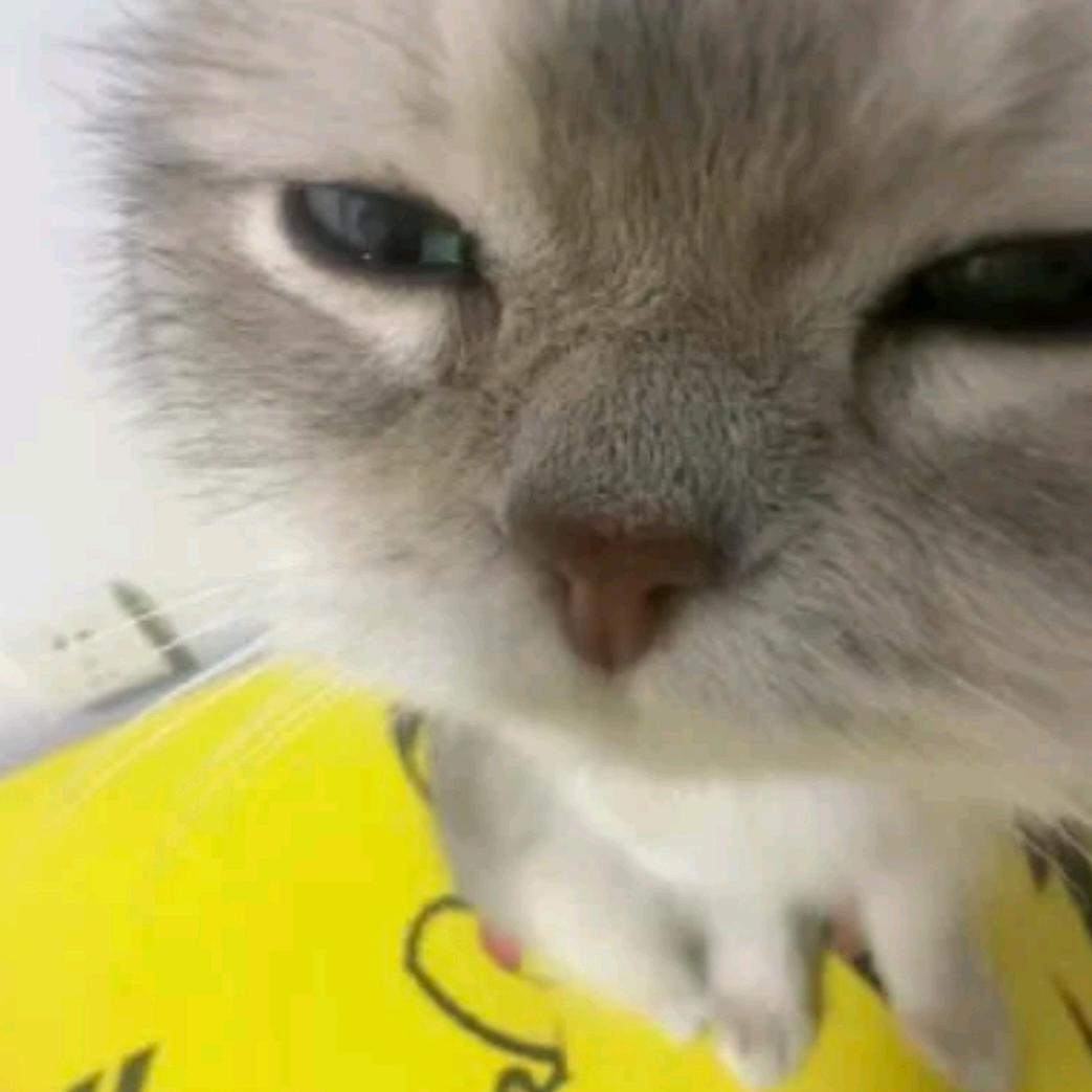 自私的羊