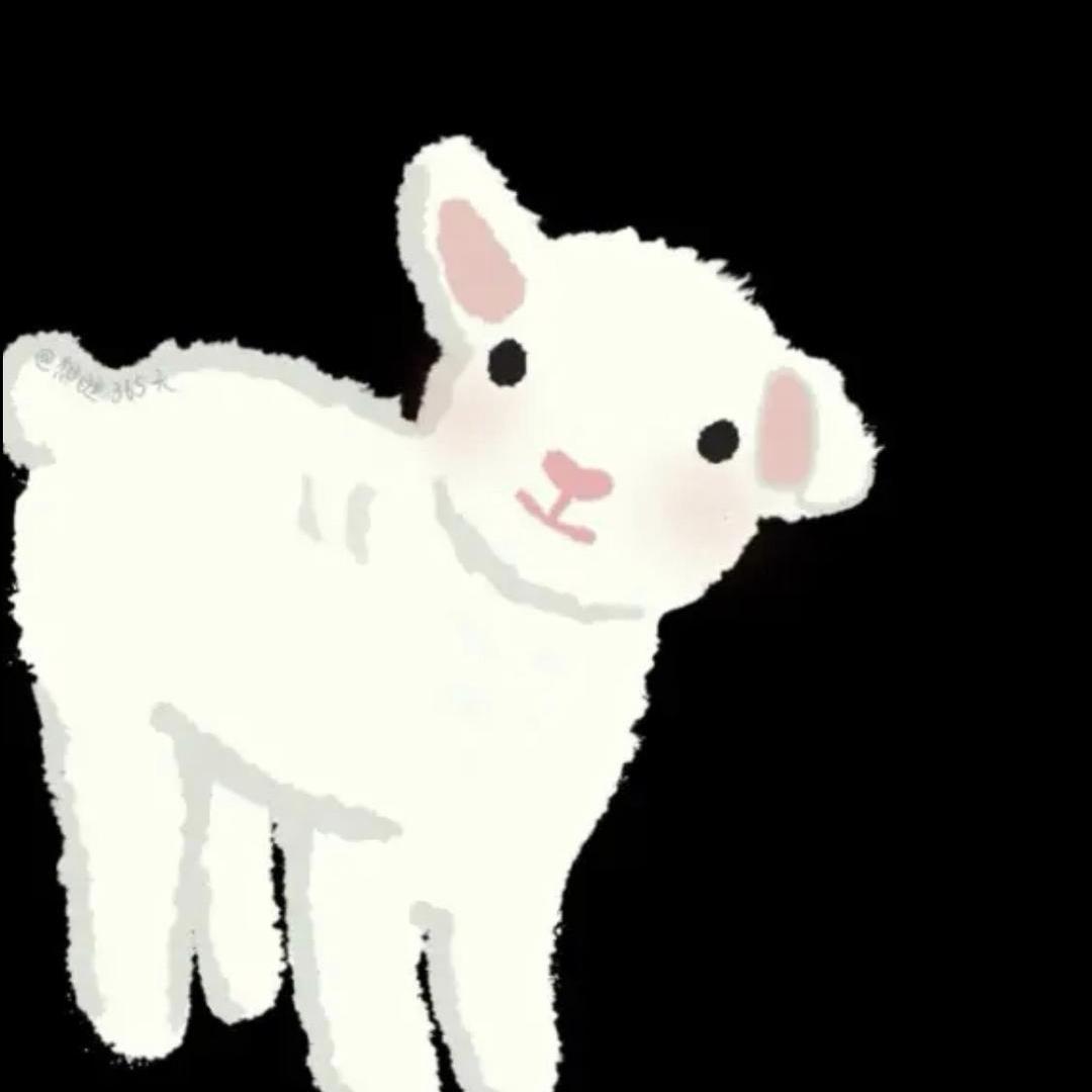 Y🐑