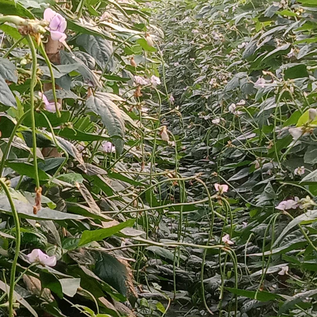 程程姐