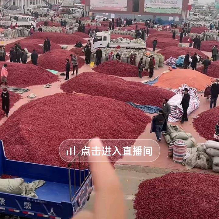 爱你一辈孑