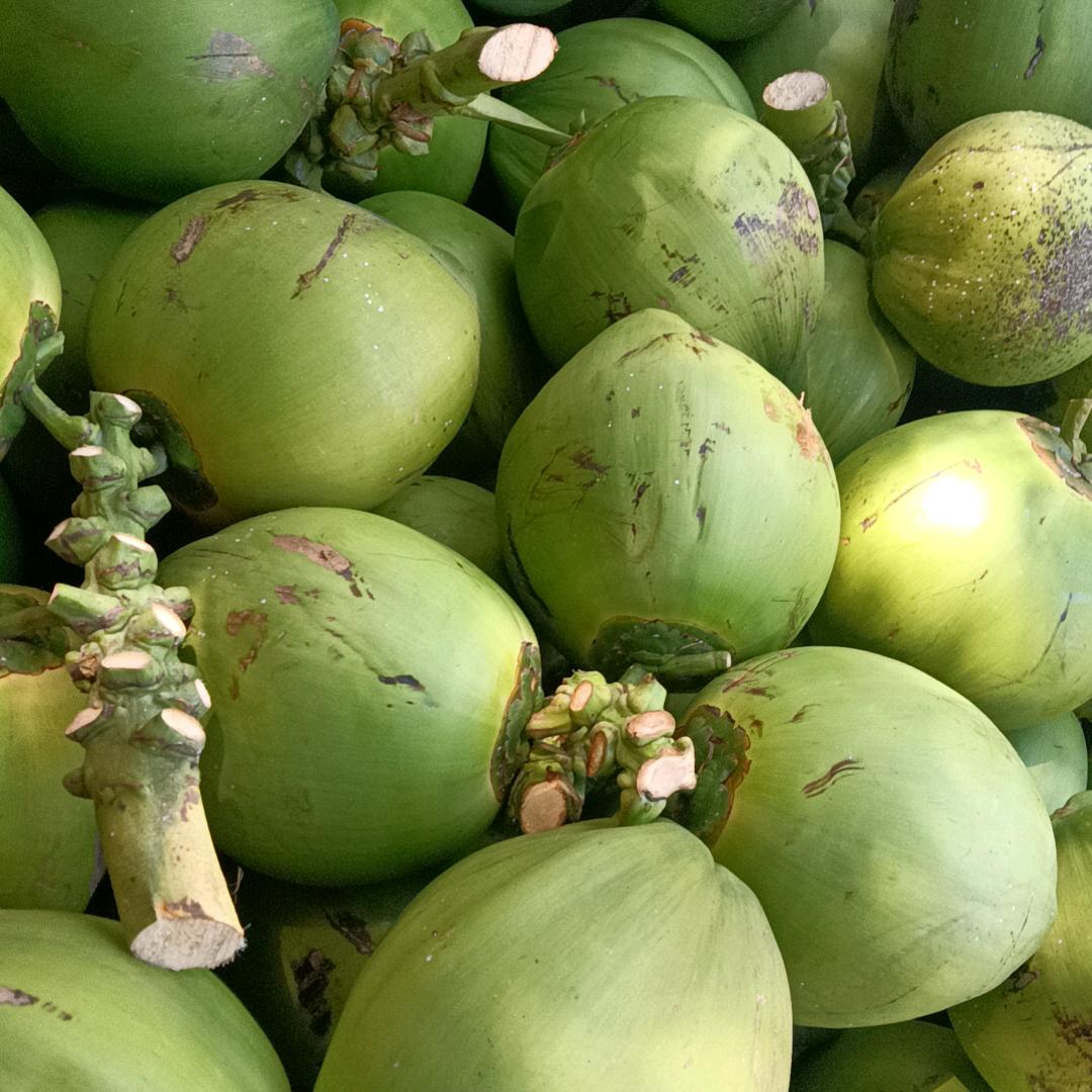 梦里的回忆🎄🎄🎄